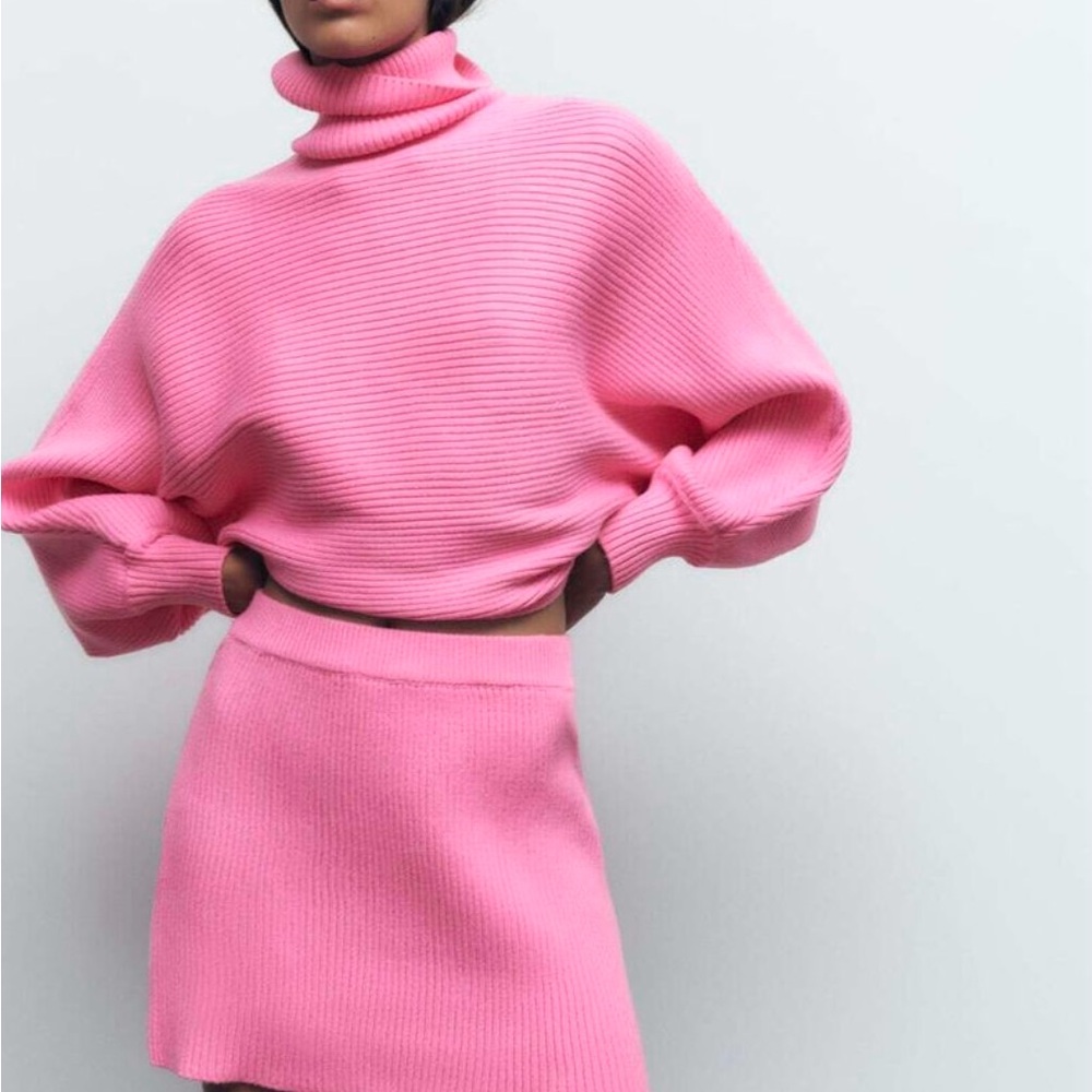 Zara Pink Knit  Skirt